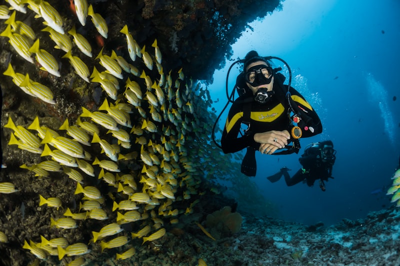 Andaman Scuba Diving Special (Havelock Deep Dive)