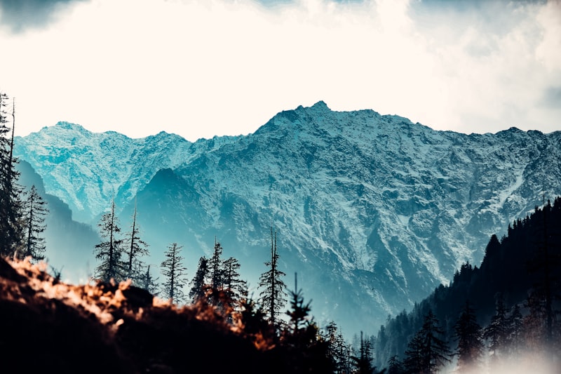 Himachal Wonders (Shimla & Manali Hill Station)