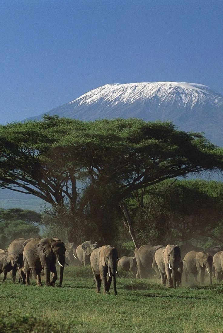 Kenya Amboseli Elephant & Great Rift Valley Trail