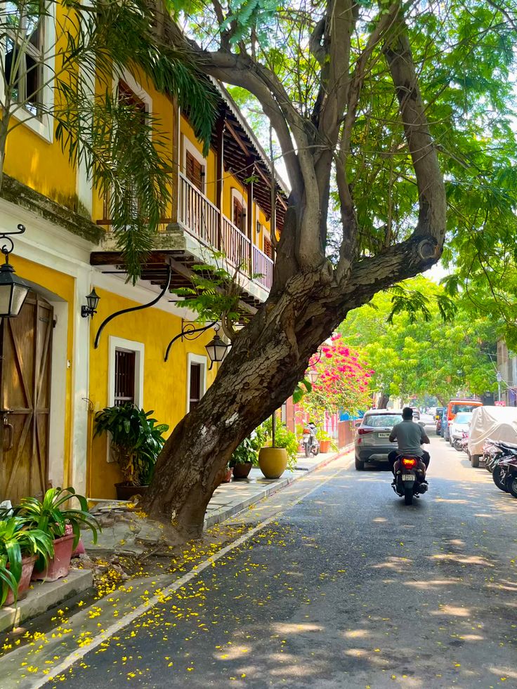 Pondicherry French Quarter & Coastal Heritage