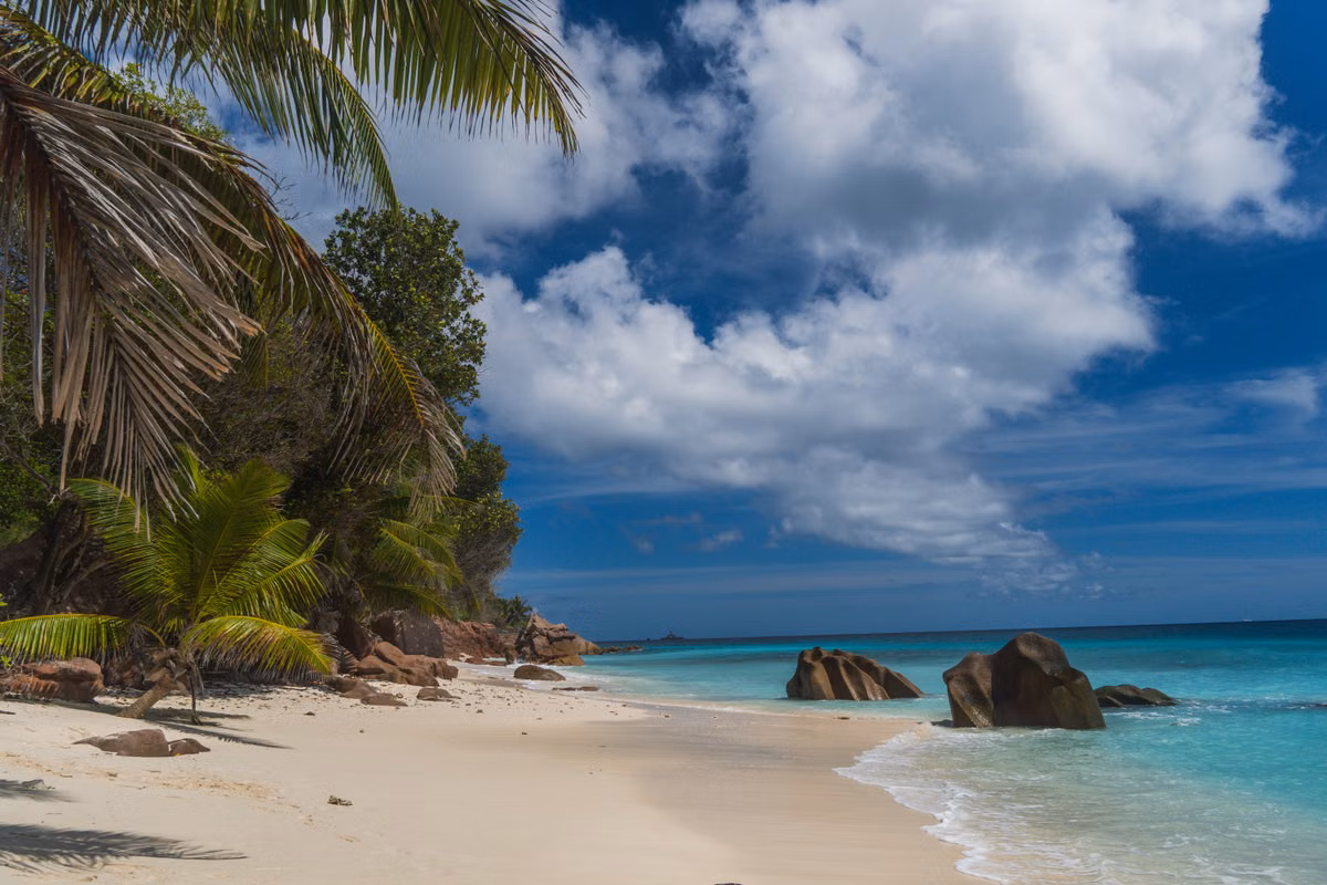 Seychelles Diving Retreat (Aldabra & Coral Gardens)